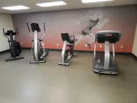 Best Western Sault Ste. Marie - Gym