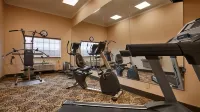 Best Western Plus New Caney Inn  Suites