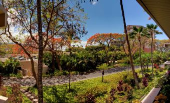 Kaanapali Alii