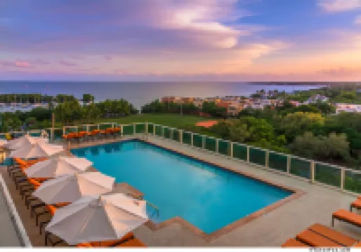 Arya Hotel & Suites Coconut Grove