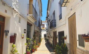 a narrow alleyway with white buildings on both sides , and several potted plants lining the path at Apartamentos Turisticos "El Refugio"
