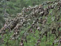 Kultaranta Hotels in Padasjoki