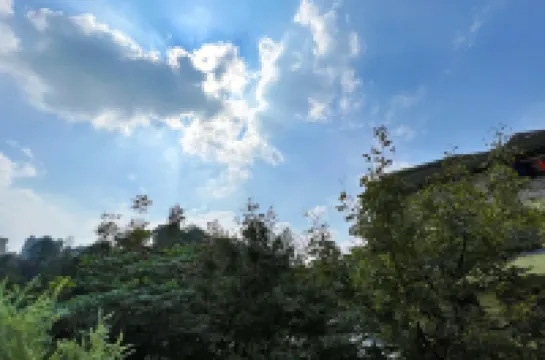 Green Heart Yard Homestay