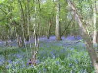 The Barn at Woodview Hotels in Tonbridge
