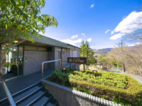 The Hotel Fujiyama