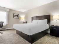 Best Western Bayou Inn Các khách sạn gần Công viên Audubon
