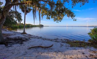 Holiday Inn Express & Suites Tampa Northwest-Oldsmar