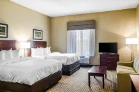 MainStay Suites Hackberry Sportsman's Lodge Hotels in Hackberry