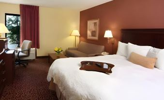 Hampton Inn by Hilton Rochester/Greece