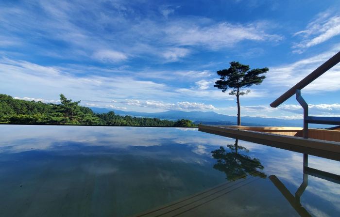 Hishino Onsen Yakushikan