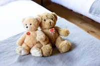 Hermann Teddy Collectors' House - Виллы