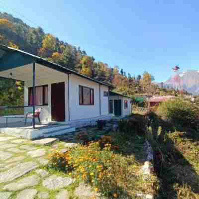 Auli Eco Nature Resort Hotel Exterior