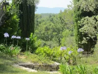 Wonderful old farmhouse 5 minutes from the medieval village of Seillans.