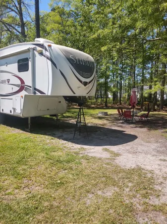 Mimi & Pops Peachy Palomino