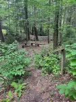 Glady Hideaway