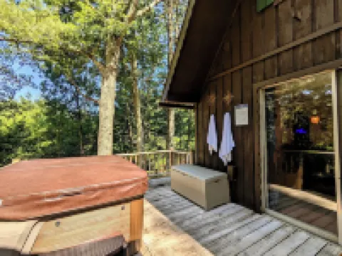 HOT TUB! Nature Delight! 2 Acre Cabin Hot Tub- Creek & Dog Friendly Fast WIFI! Hotels in Laurel Fork