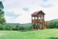 Blue Ridge Mtn Log Cabin  4 Bedroom + Treehouse Bird Watchers