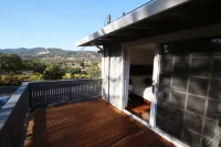 Wine Country Retreat with Pool, Vineyard, Trampoline, Putting Green and Hot Tub