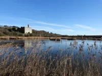 Reduced rate for stunning victorian cottage in the heart of Cowbridge Hotels in Cowbridge with Llanblethian
