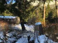Diamond House, cozy home in a park-like setting Hotels in Ketchikan