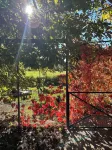Wheelchair access to Mont Ventoux, between Sault and Monieux. Hotels in Monieux