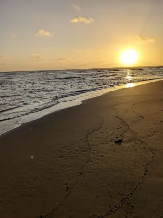 Hale Mano Kia - New AC in Classic 3Br West Side Bungalow . Tvnc# 5001 Отели в г. Кекаха