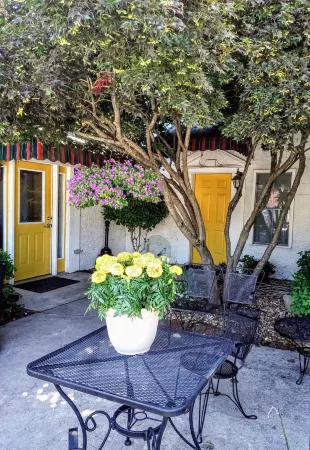 The dog-friendly  cozy apARTment Отели рядом с достопримечательностью «Walls of Jericho»