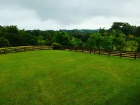 Discounted Rate July 10-20!  Quiet House Close to Sml and Liberty University