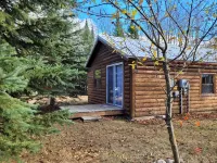 Charming 1-Bedroom Cabin, Quiet Neighborhood in Grand Marais, Pet Friendly