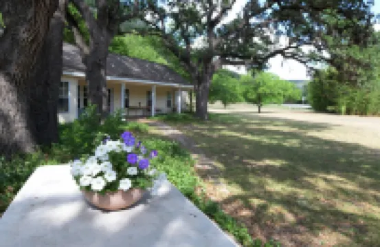 PeachTree Cottage near Lost Maples