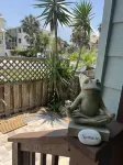 Remodeled 1 BR across from Beach. Restaurants, bars, shops. Extended stay rates.