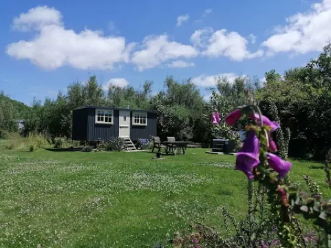 Willow Tree Shepherd's Hut with optional hot tub and shared EV charger. Отели в г. Бьюд