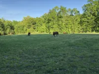 Natural Splendor; Ultimate Off Grid Experience!