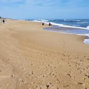 Vintage beach bungalow. Steps to beach! Bring your dog!