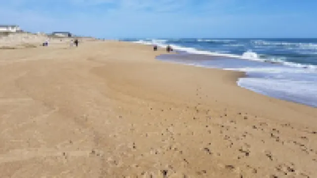 Vintage beach bungalow. Steps to beach! Bring your dog!
