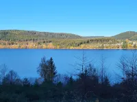 FeWo Falkennest - Cozy "nest" in vacation resort at the Schluchsee with pool