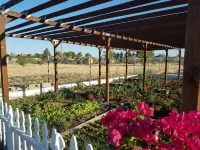 "Sun Tiny House B" Pahrump Near Front Sight Hotels near GG Sweet Memorial Park