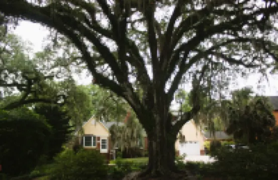 Villas @ Lake Ella: 1br/2queen-1bth-Kitchenette