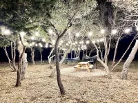 Cozy/Cute Tiny House close to wineries, wedding venues & outdoor fun Hôtels à proximité de : Ian's Chapel at Camp Lucy