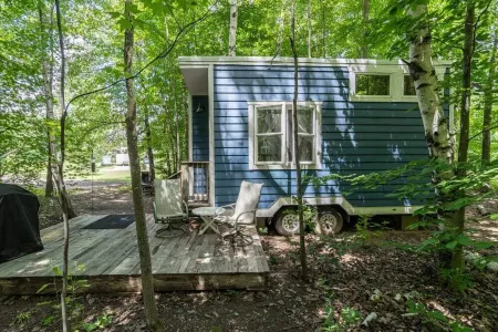 ❤️Tiny house THOW in woods -odorless compost toilet NEW-hot tub Отели в г. Lapeer County