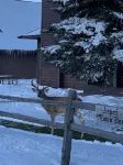 Golf Course Condo with Pool, Hot Tub, Sauna, and Game Room. Aspen Townhomes #6
