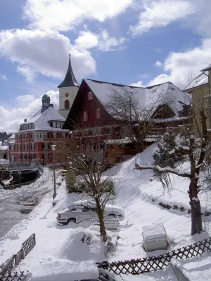 Lenzkirch - very cozy apartment - south-facing balcony - centrally in a quiet side street Hotels in Lenzkirch