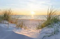 Old North State of Mind: Cozy Cottage, Dog Friendly Home with Fenced Yard