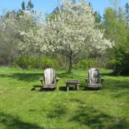 Aldernest Loft - Acadia Park/Mount Desert Island -walk across lawn down to shore