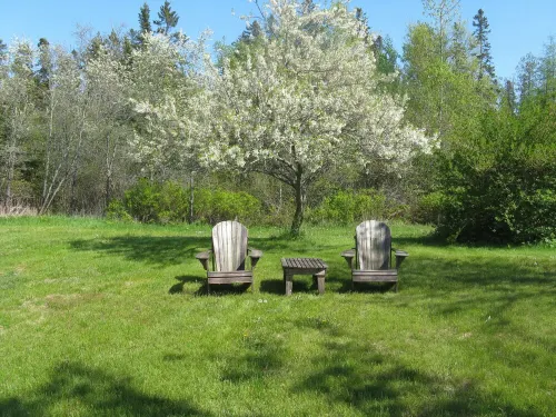 Aldernest Loft - Acadia Park/Mount Desert Island -walk across lawn down to shore