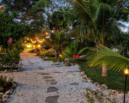 Funky coconut luxury apartment ダニーディンのホテル