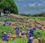 1800's Cactus Cabin/Hot Tub/Voted Most Romantic! Close to Downtown! Peaceful!