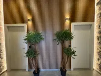 City Stay Tiberias - סיטי סטיי טבריה Hotels in Kinnerot
