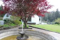 Riverfront Redwood Retreat Nestled in Nature