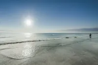 Luxurious Penthouse Oasis - Direct Beachfront/Oceanfront - 2 Parking Spots!!!